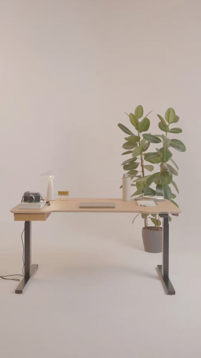 Standing desk Lato Pro Walnut Burl with CabelGenius