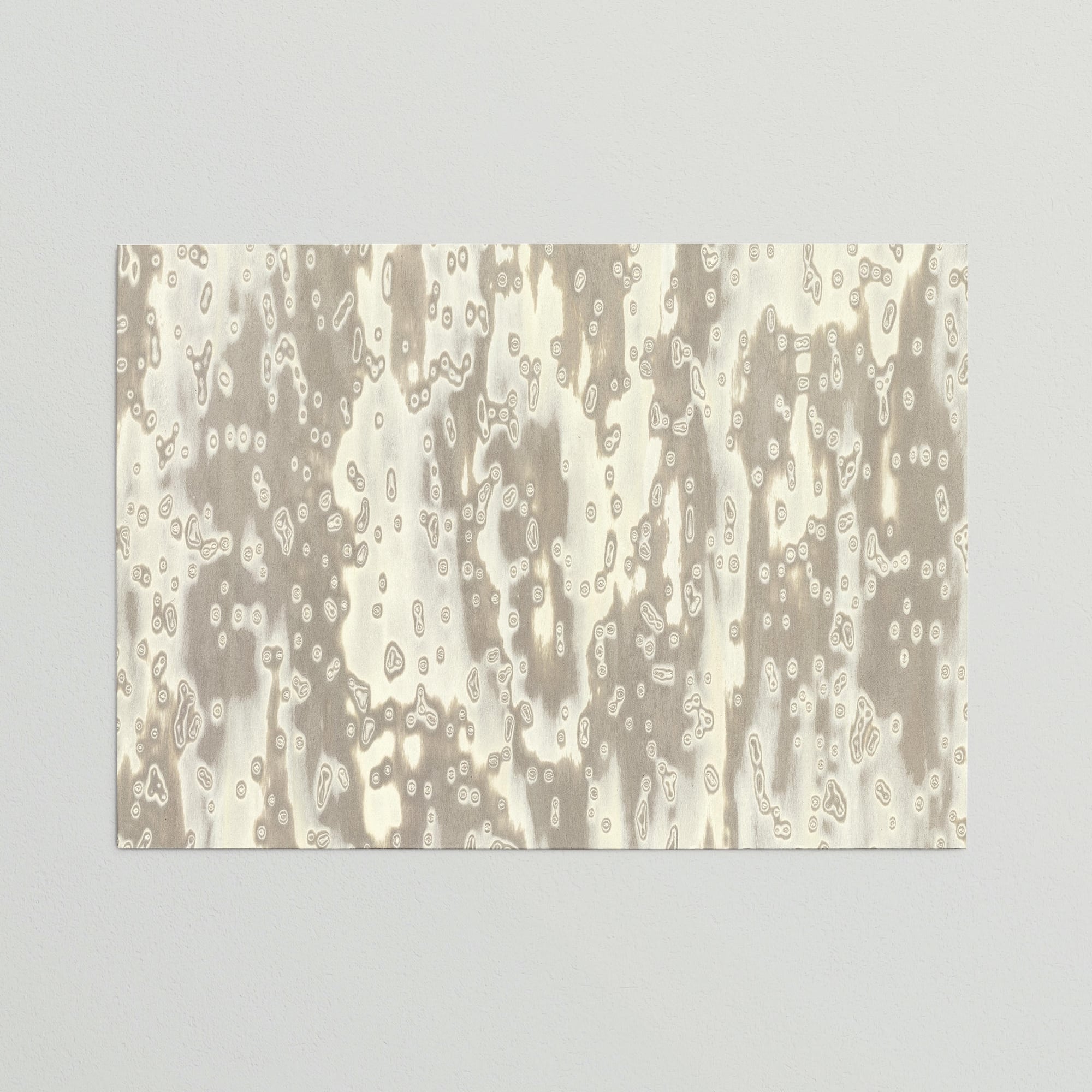 Sample Lato Wooclé Grey by GamFratesi Collection