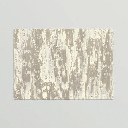 Sample Lato Wooclé Grey by GamFratesi Collection