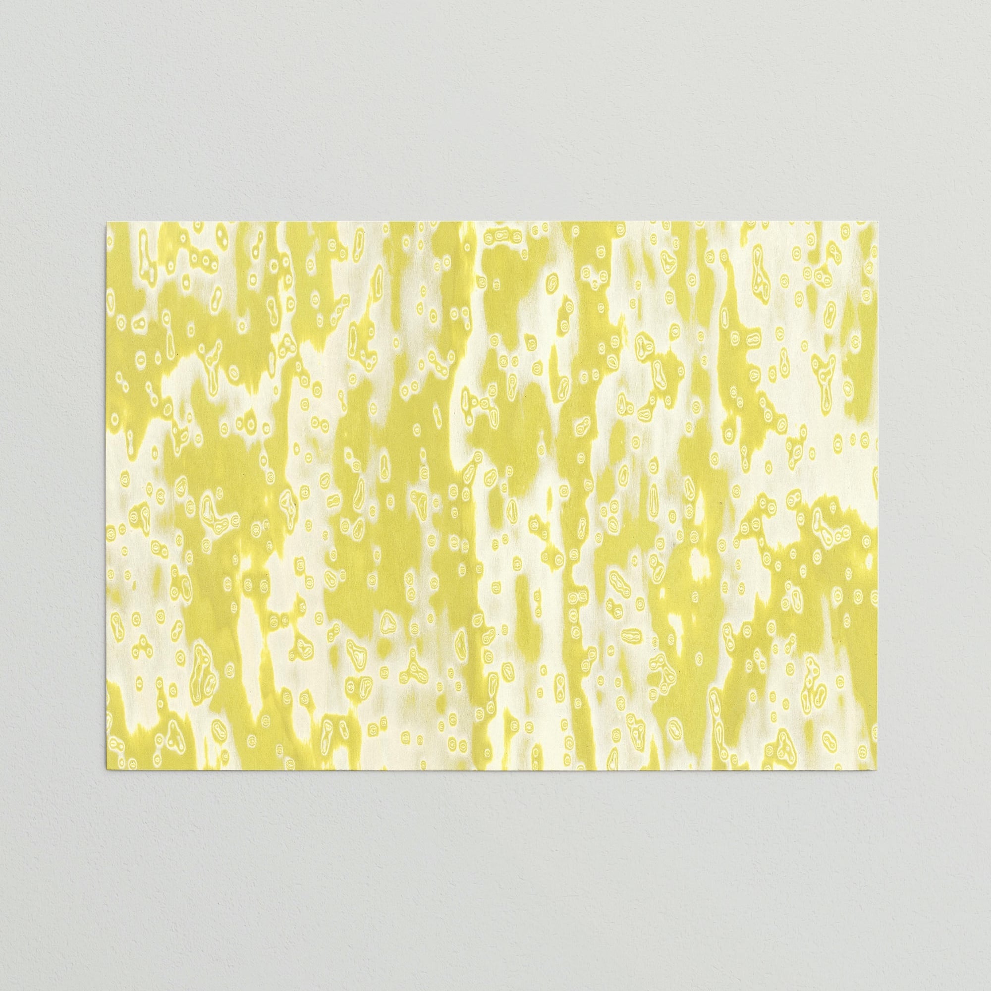 Sample Lato Wooclé Yellow by GamFratesi Collection
